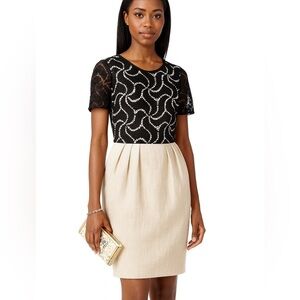 Reiss Lace Hana Stone Contrast Sheath Dress Size 8